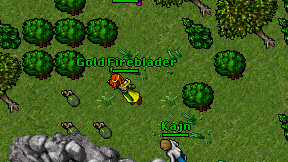 Gold Fireblader on screen