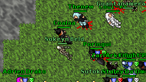Thenew on screen
