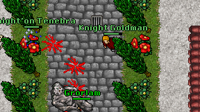 Knight Goldman on screen