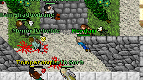 Herdam on screen