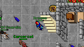 Xronno on screen