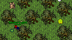 Anderfight on screen