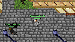 Sarudich on screen
