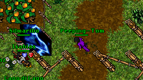 Peeping-Tom on screen