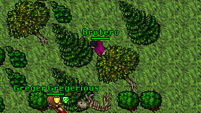 Brotero on screen