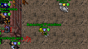 Amazing'Paladine on screen
