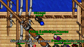 Hizopi on screen