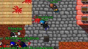 Cocoloco on screen