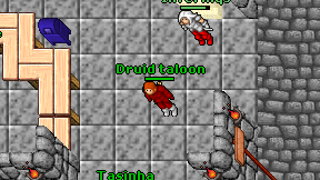 Druid taloon on screen