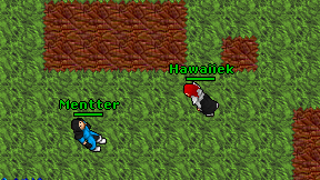 Hawaiiek on screen