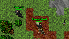 Roen Soul on screen