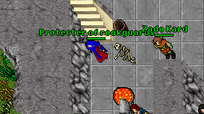 Protecter of rookguards on screen