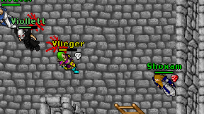 Vlieger on screen