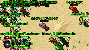 Spirit'Chaser on screen