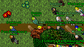 Duhin on screen