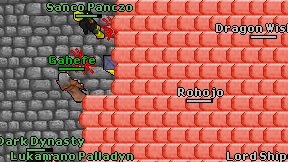 Dragon Wishion on screen