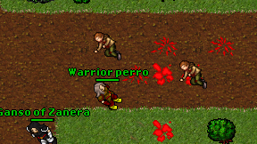 Warrior perro on screen