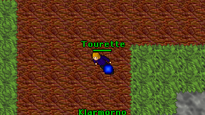 Tourette on screen