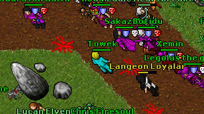 Towek on screen