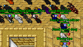 Anirodtz on screen