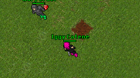 Iggy Catene on screen
