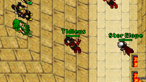 Tidieus on screen