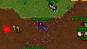 Rael Vider on screen