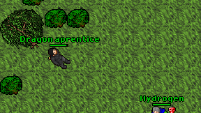 Dragon aprentice on screen