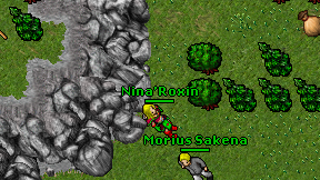 Nina'Roxin on screen