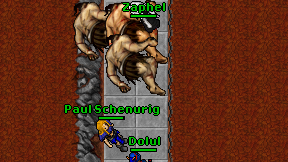 Zaphel on screen
