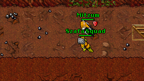 Szafa Squad on screen