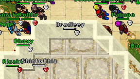 Bradleey on screen