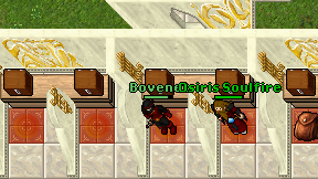 Bovenet on screen