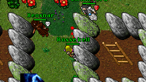 Rosse kell on screen