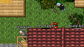 Leo Tyger on screen