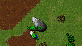 Galdrial on screen