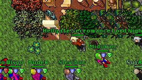 Hellgate Necromancer on screen