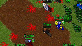 Flaa on screen