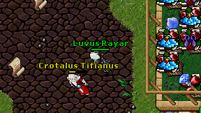Luvus Rayar on screen