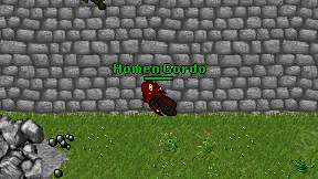 Homen Gordo on screen