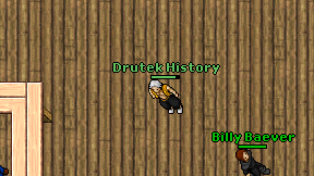 Drutek History on screen