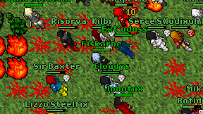 Fiskarne on screen