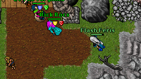 Flash Feris on screen