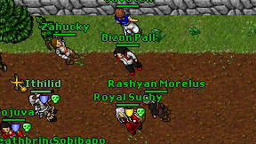 Bizon Pall on screen