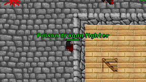 Poison dragon fighter on screen