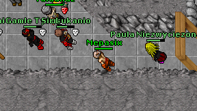 Mepasix on screen