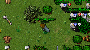 Yamakaszi on screen