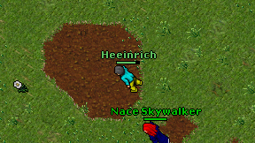 Heeinrich on screen