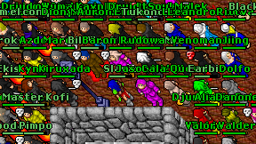 Pingojeba on screen