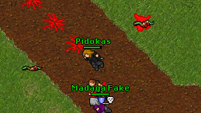 Pidokas on screen